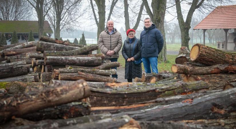 Több mint 100 településen osztanak tűzifát a rászorulóknak Vasban