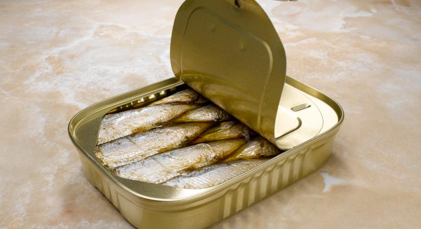 Ötven éve lejárt lazacos konzervet bontottak fel, tudósok is meglepődtek, amit találtak benne