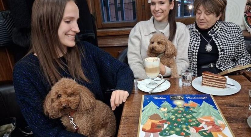 Erős Pistás szaloncukor rejtőzött az Adventi Kalendáriumban - és még mi minden más!