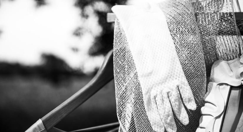 Les Roy: A fél pár kesztyű