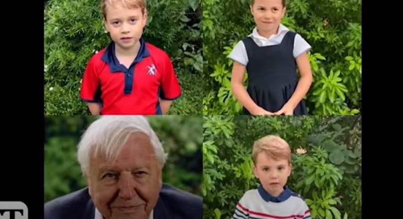 A brit királyi gyerekek kérdései Sir David Attenborough-hoz (angol nyelvű videó)