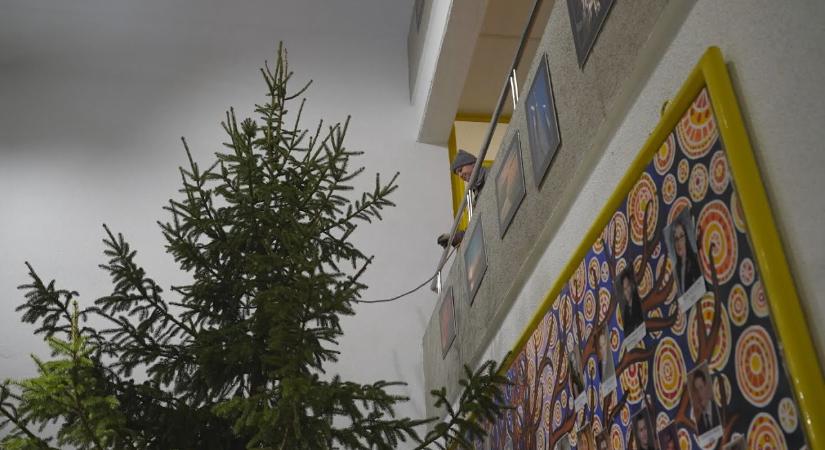 Elkezdődött az ünnepekre hangolódás az ESZI-ben is