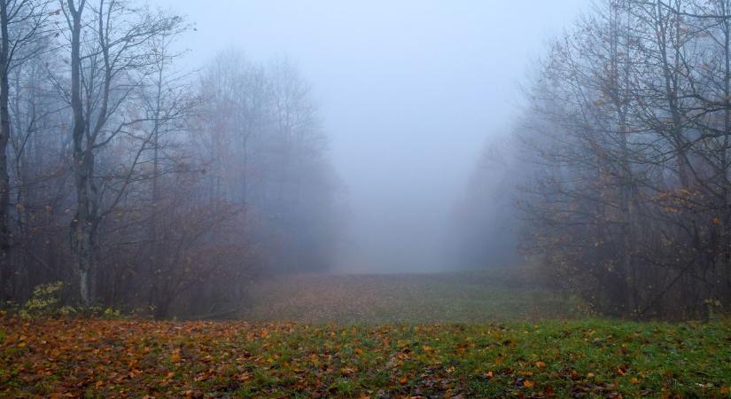 Párás, ködös reggelek, néhol felcsillanó napsütéssel