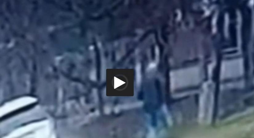 Sokkoló állatkínzás Abonyban: halálra vert egy kutyát a csirkéje miatt (videó)