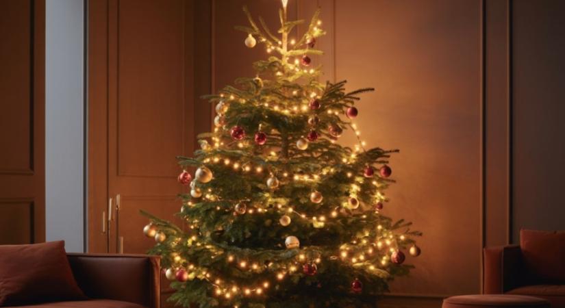Meddig marad friss a karácsonyfa? – Bevált módszerek, hogy tartósabb legyen