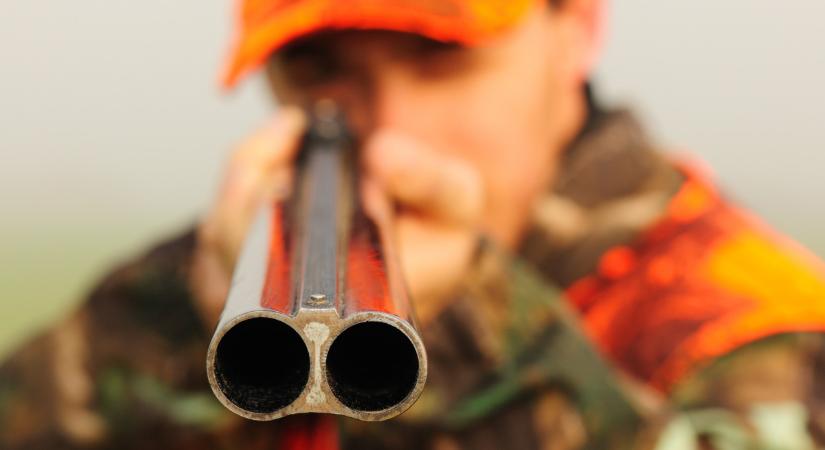 Lelőttek egy kirándulót a Bükkben: eljárást indítottak