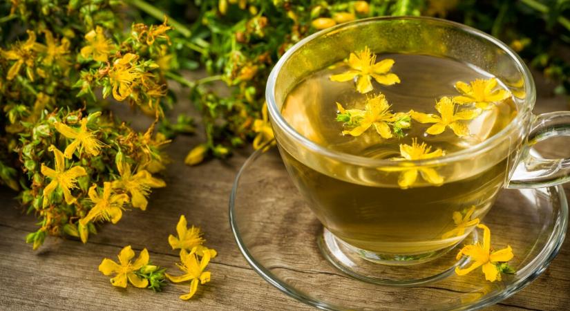 Orbáncfű: vigyázz vele, ha ezeket a gyógyszereket szeded