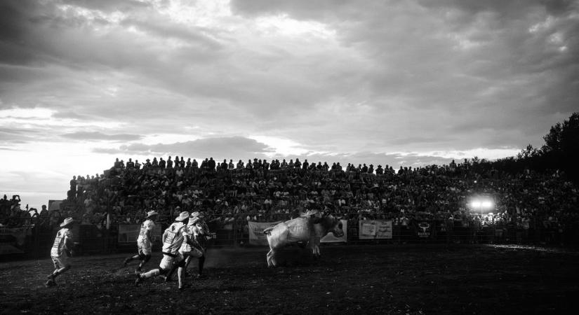 Mohos Márton kollégánkat is díjazták az Ezüstgerely Művészeti Pályázaton