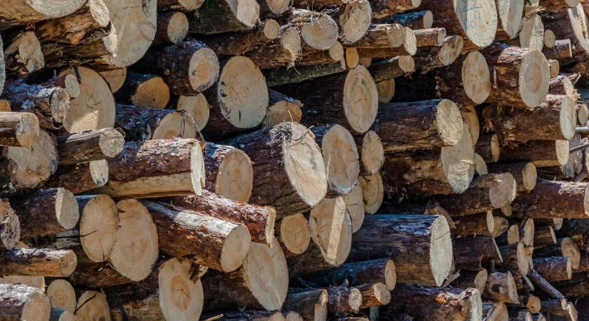 Idén is 5 milliárd jut szociális tűzifára, ahogy hat éve, csak éppen azóta kétszeresére nőtt az ára a fának