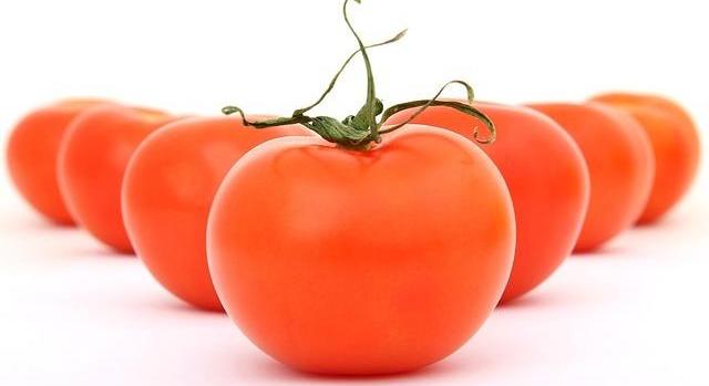 Paradicsom, amely két hónapig friss marad? Egy indiai innováció új fejezetet nyithat a kistermelők életében