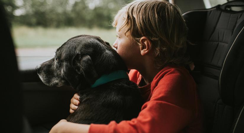 Egy új kutatás szerint a kutyák törődnek a velük egy háztartásban élő gyerekekkel