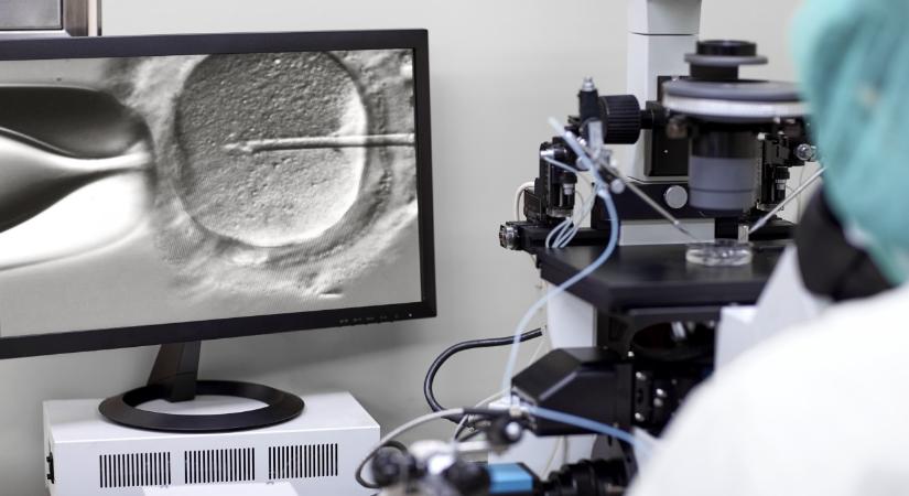 Utolérte a kutyaklónozás divatja a milliárdosokat