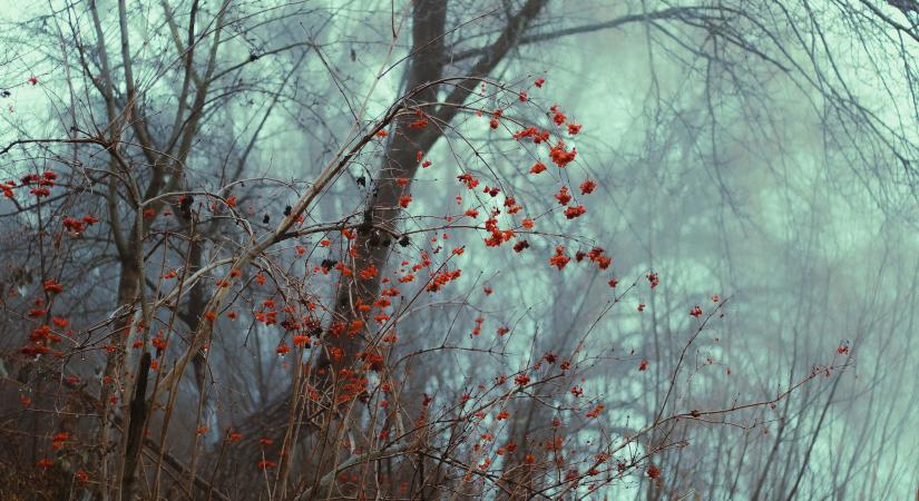 Időjárás 2025. december 3.: A ködös reggelt napos, de szeles délután váltja