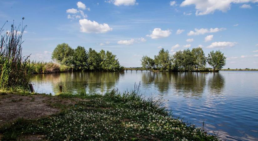 Több halat az asztalra!