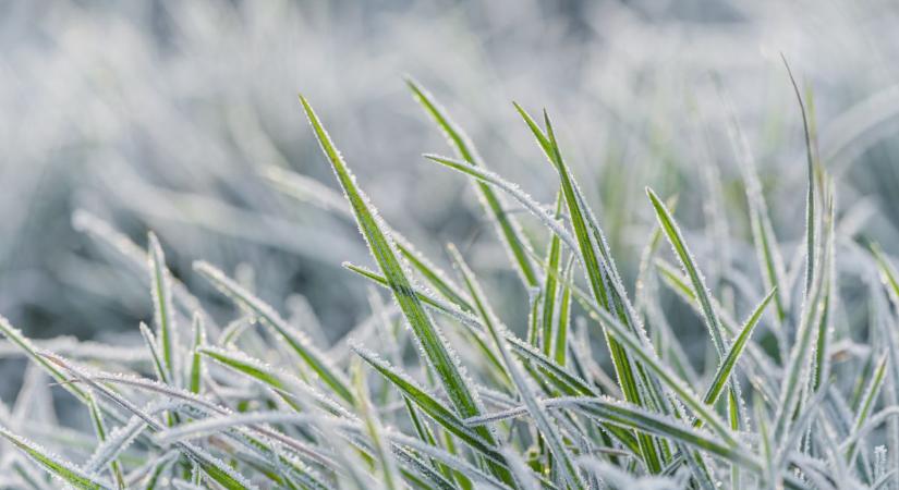 Enyhülés és napsütés érkezhet szerdán Szegedre