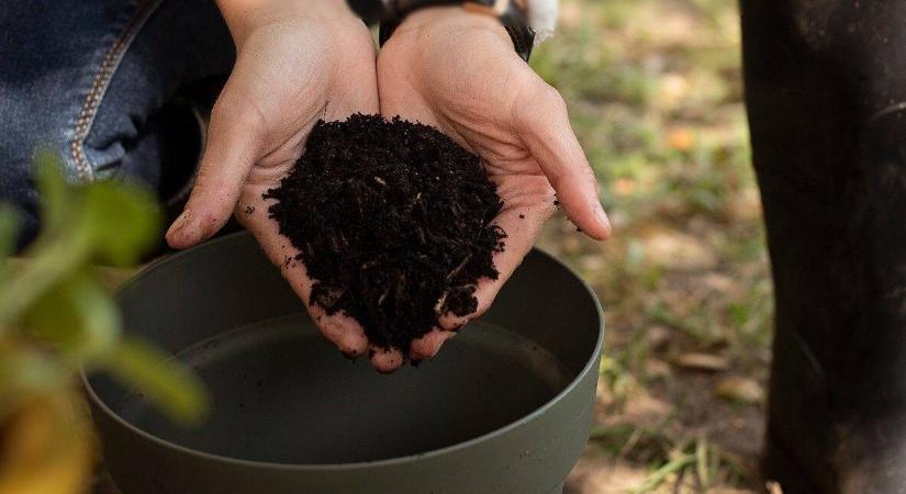 Kávézacc, tojáshéj, fahamu – mit érnek valójában?