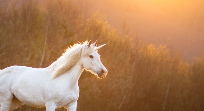 Itt az újabb nagy partnerség: mostantól már a Revoluttal is fizethetsz az Uniswap platformon