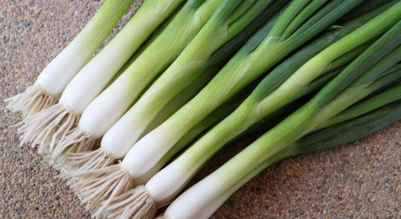 A legkorábbi hajtatott vitaminforrásunk (1.)