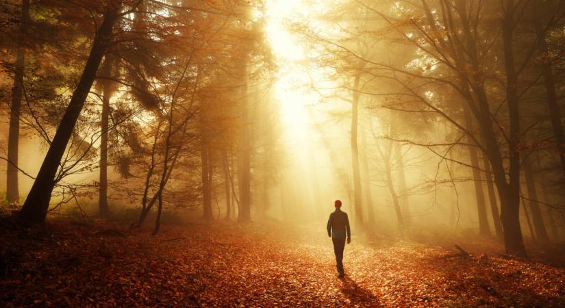 Köd és ónos szitálás várható