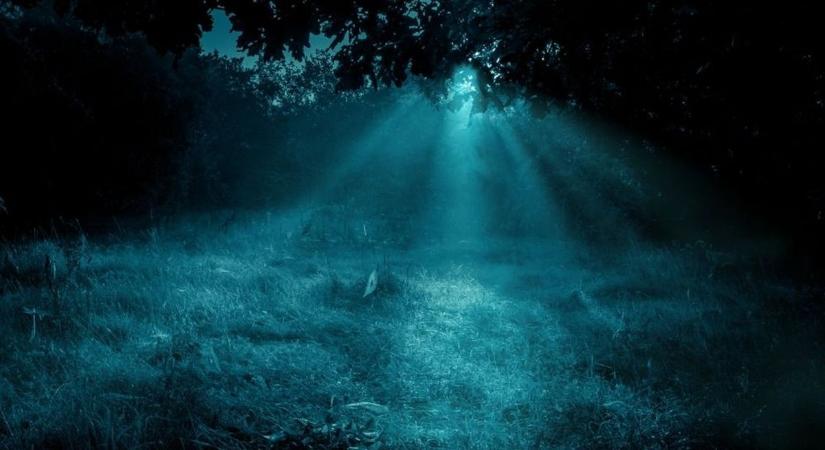 Vadkamera leplezte le a titkos éjjeli összecsapást az ásotthalmi erdőben – mutatjuk a felvételt