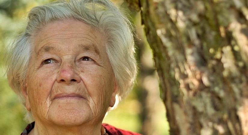 Óriási hír érkezett! Tolonganak az emberek a Pennybe ezért a termékért