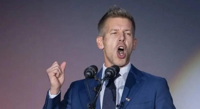 Minden hazai kutya- és macskatartót megsarcolna a Tisza Párt