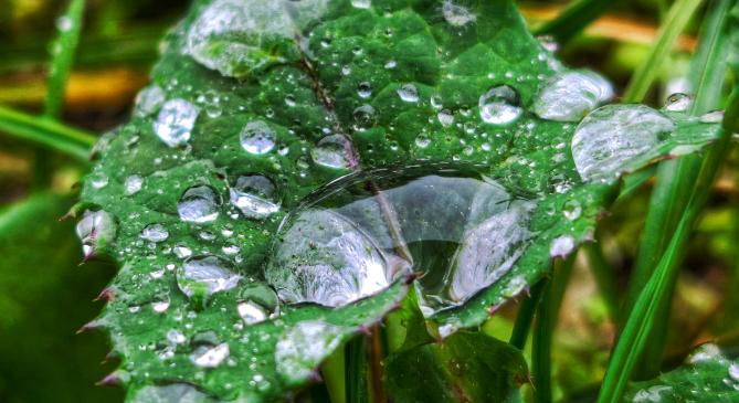Mediterrán ciklon hoz esőt, keletre kora tavaszi meleget