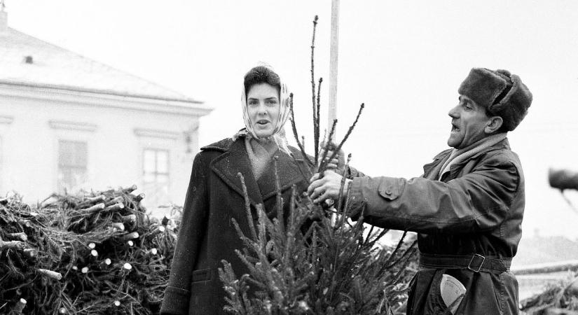 Ünnepi előkészületek a 60-as évekből: így vadászták az emberek a fenyőfákat (galéria)