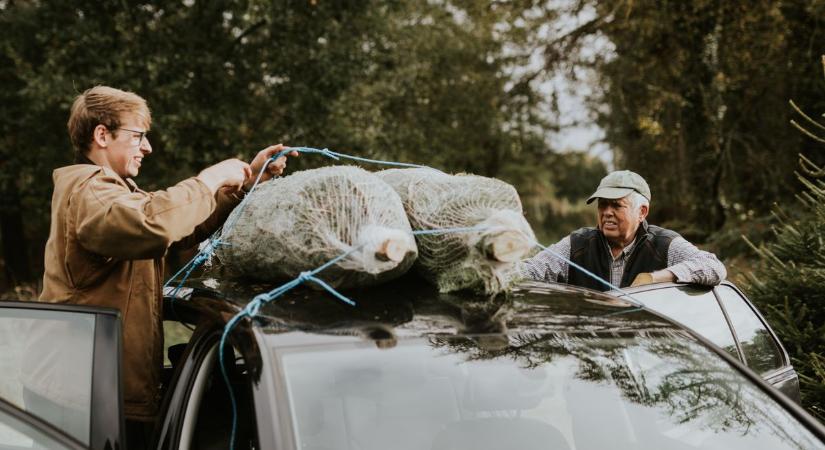 Karácsonyfát így viszel haza autóval? Bírságot fizethetsz, ha nem figyelsz