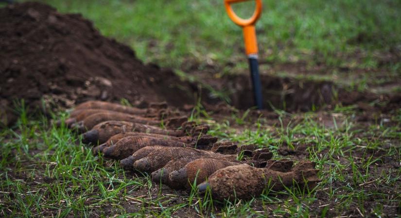 Robbanószert találtak a Balatonnál - tűzszerészek a helyszínen!