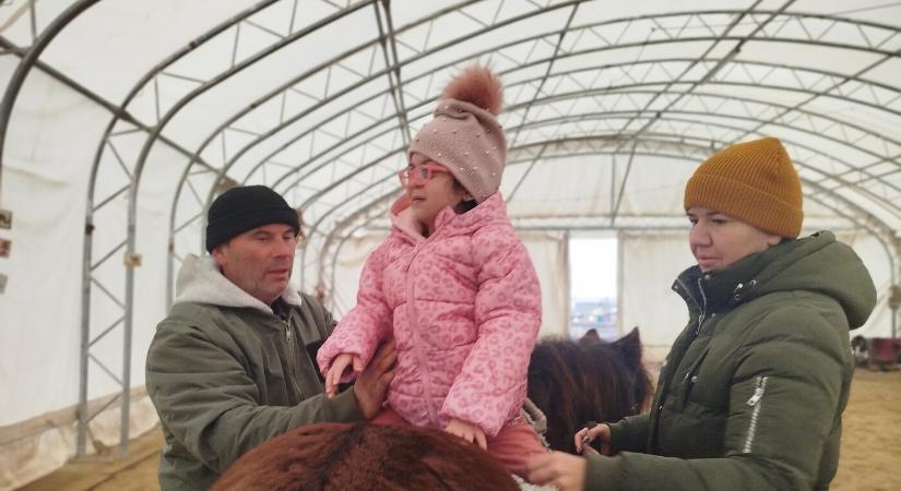 Dorina és a gyógyító ménes – itt minden gyerek különleges