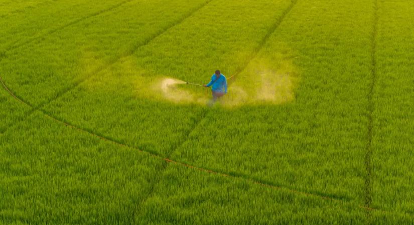 Egy friss kutatás szerint a gyakran használt vegyi anyagok károsíthatják a bélmikrobiomot