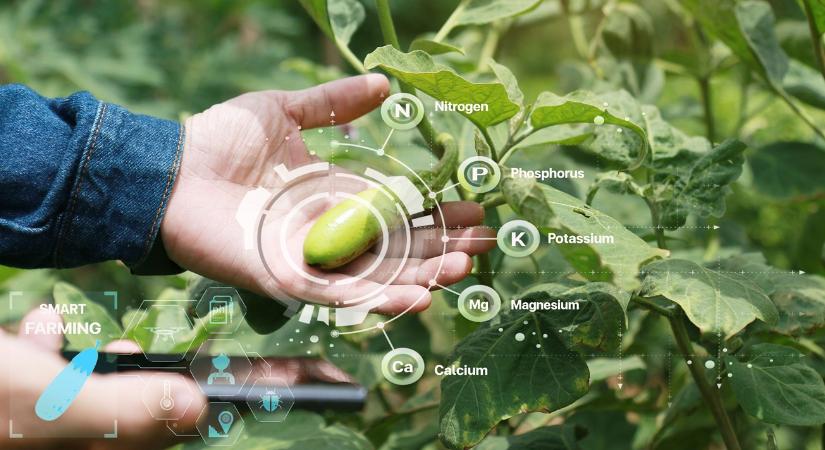 Nem elég tudni, mi az intelligens növénytermesztés – használni is kell