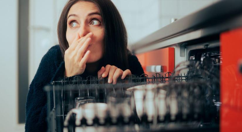 Büdös a mosogatógép? – 3 házi praktika, ami pillanatok alatt orvosolja a problémát