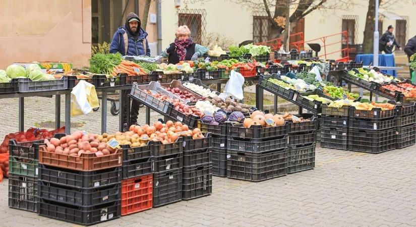 Minden adott volt egy jó lecsóhoz a szekszárdi piacon, azt is mutatjuk, mennyiért (galéria)