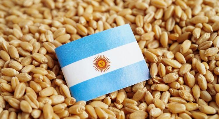 Rátesz egy lapáttal a gabonapiacra az argentin termés