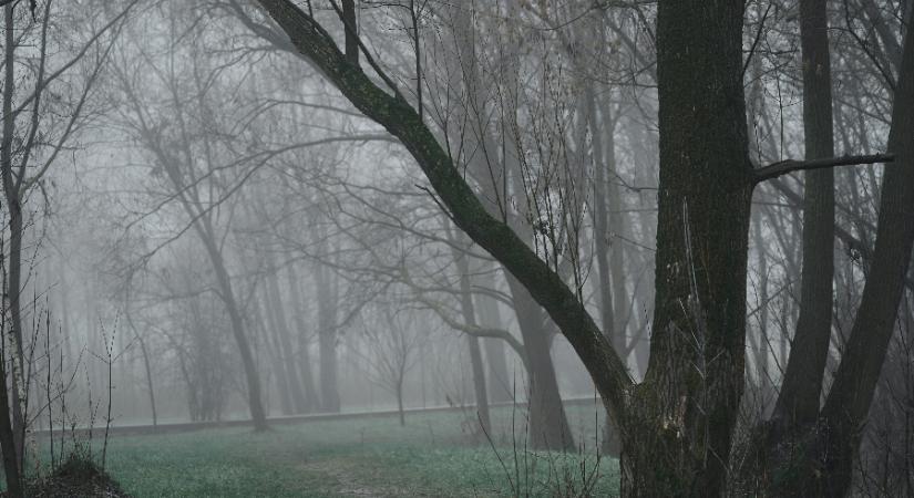 Fehérségbe válthat-e a szürkeség?