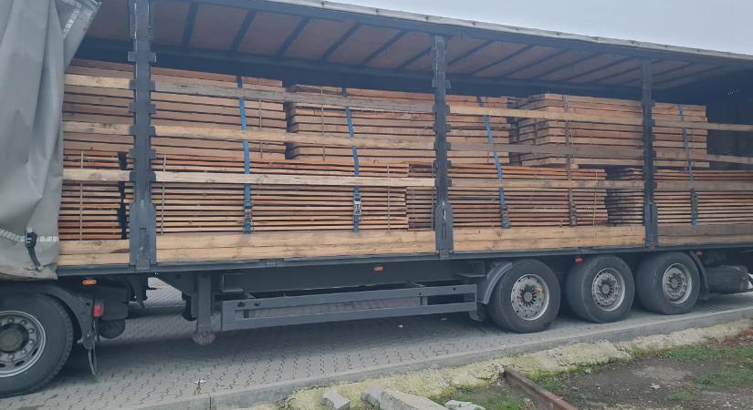 Kárpátalján egy erdészeti vállalat igazgatója megpróbált egy újabb fatermék-szállítmányt illegálisan Romániába exportálni