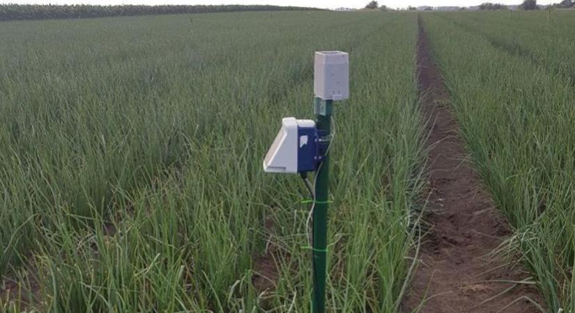 Mi lenne, ha a növény mindig annyi vízhez jutna, amennyit kíván?