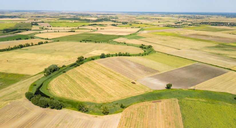 Víztükör: vízmegtartó megoldások a természettel összefogva