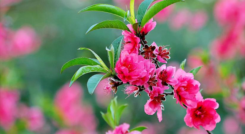 A biogazdálkodás fontossága a jövő mezőgazdaságában