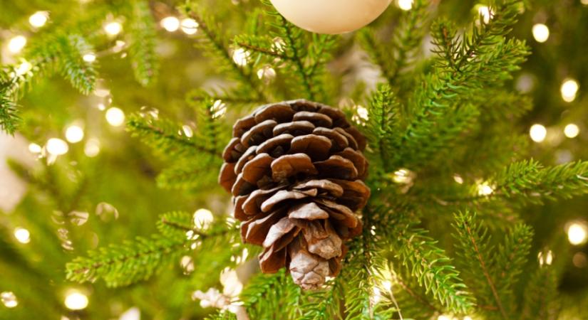 4 tipp, amelyek segítségével a műfenyőd is úgy illatozhat, akár egy igazi fenyőfa!