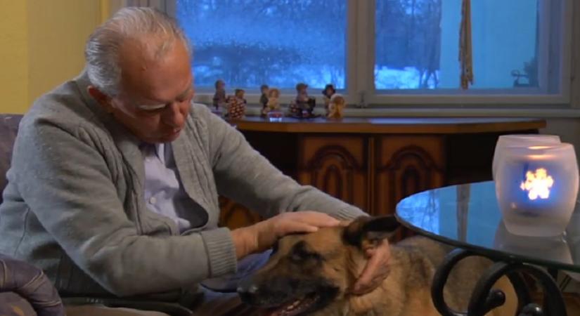 Újra hívható a négylábú szeretetfutár (Videó!)