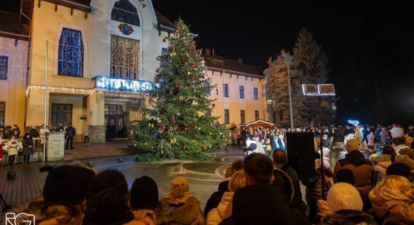 25 évig nevelték, most Csongrád ékévé vált – megható történet a város karácsonyfája mögött