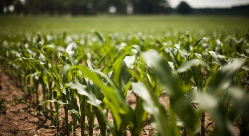 Ez várna a magyarokra, ha Ukrajna belépne az EU-ba: ezt mindenkinek fontos az eszébe vésnie