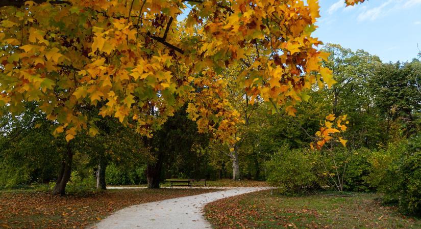 Elkészült Dévaványa új közparkja és rendezvénytere
