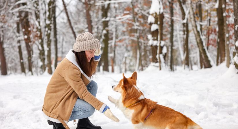 Napi horoszkóp 2025. december 4: az Ikrek Hold sok új információt hoz