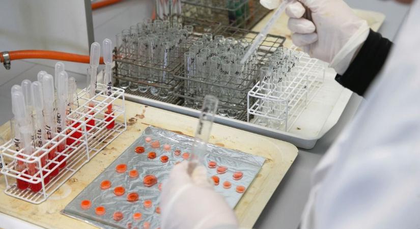 Halva születtek babák a szifilisz miatt