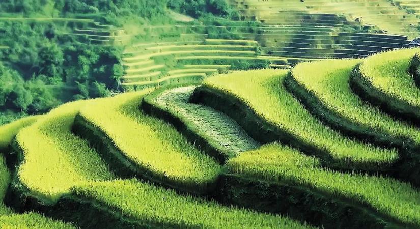 A magyar export új lendületben: a közepes vállalatok egyre tudatosabban kezelik az árfolyamkockázatot, és új piacok felé nyitnak