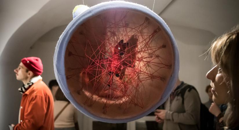 Minden agy szép – kiállítás a neurodiverzitásról az érintettek munkáival, csakhogy mindenki érintett